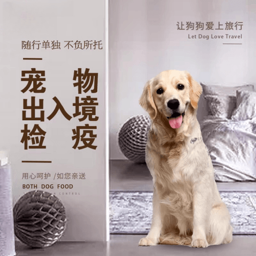 西藏自治区宠物托运到哥伦比亚猫狗宠物入境规定和