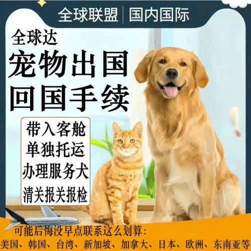 西藏自治区宠物托运到柬埔寨宠物入境规定和要求