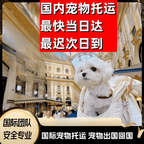 西藏自治区到澳大利亚（澳洲）宠物入境规定和要求